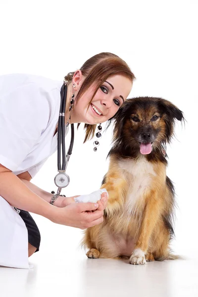 Een dierenarts met een hond — Stockfoto