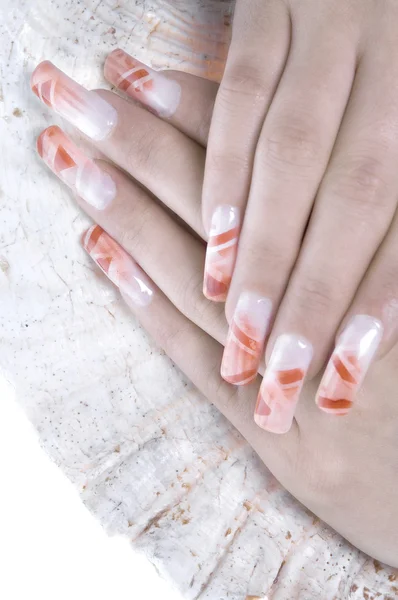 Women's hands with a shell — Stock Photo, Image