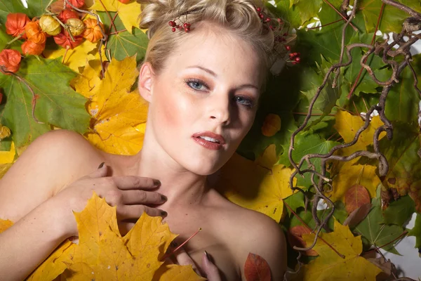 Face blonde girl with autumn leaves — Stock Photo, Image