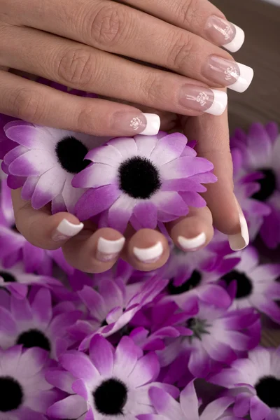 Women's hands with flowers — Stock Photo, Image