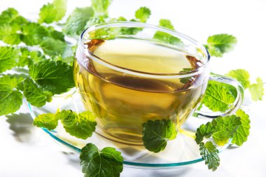 çay bardağı taze nane yaprakları ile