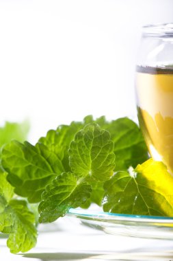 çay bardağı taze nane yaprakları ile