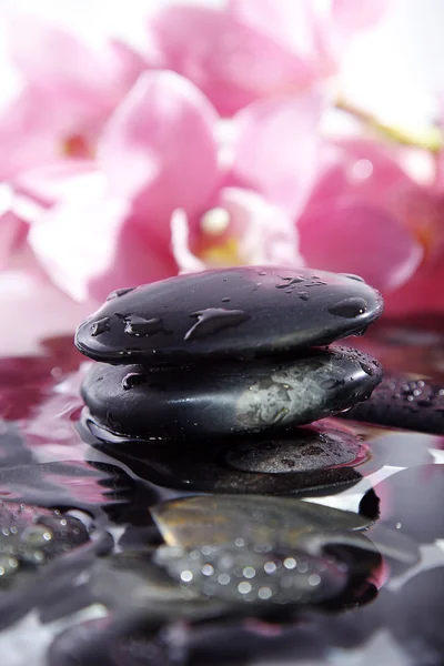 Zee stenen op een achtergrond van roze orchideeën — Stockfoto