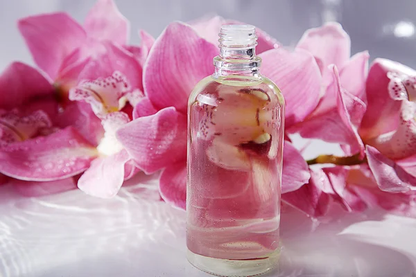 Pink orchid with massage oil — Stock Photo, Image