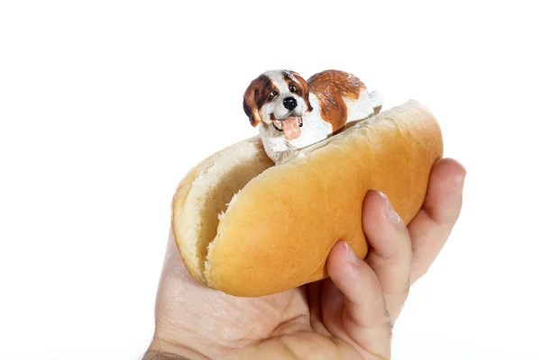 Man holding a hot dog — Stock Photo, Image