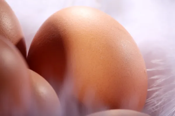 Eggs close-up — Stock Photo, Image