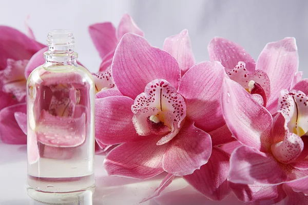 Masaj yağı ile pembe orkide