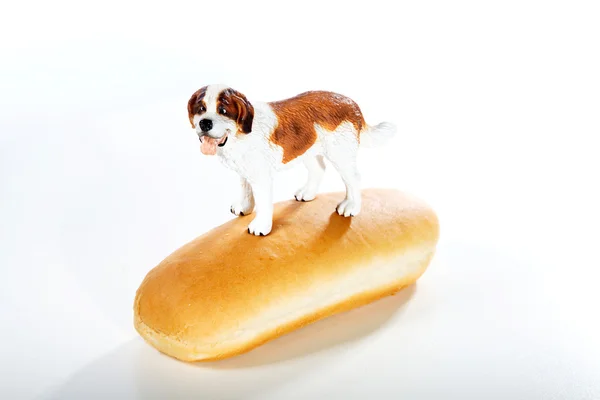 Hot dog with real dog — Stock Photo, Image