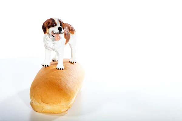 Hot dog with real dog — Stock Photo, Image