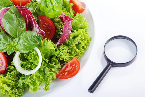 Salad with vegetables and magnifier — Stock Photo, Image