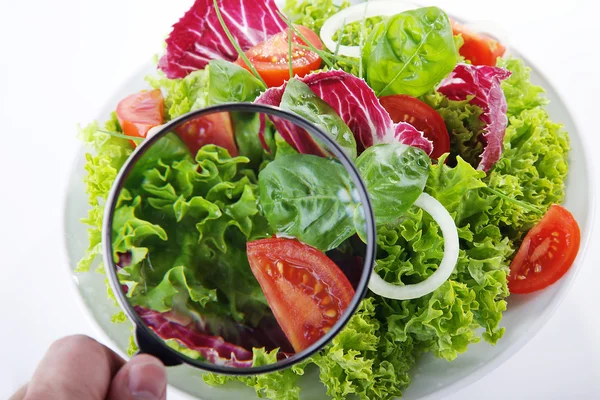 Salad with vegetables and magnifier — Stock Photo, Image