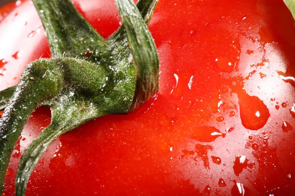 Tomate close-up — Fotografia de Stock