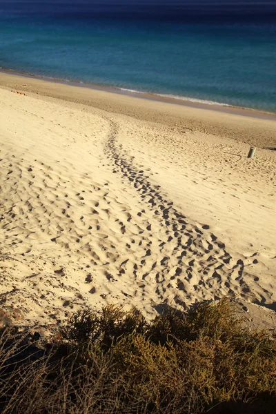 Sandy beach by the sea — Stock Photo, Image