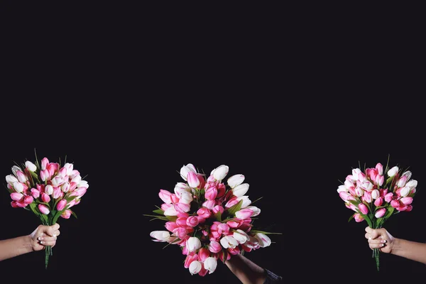 Tres manos con tulipanes — Foto de Stock