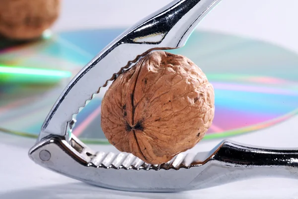 Nutcracker with walnut — Stock Photo, Image