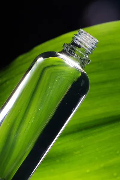 Oil and green leaf Royalty Free Stock Images