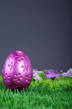 Çayırda paskalya yumurtası