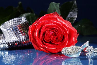 bir ayakkabı ile gül