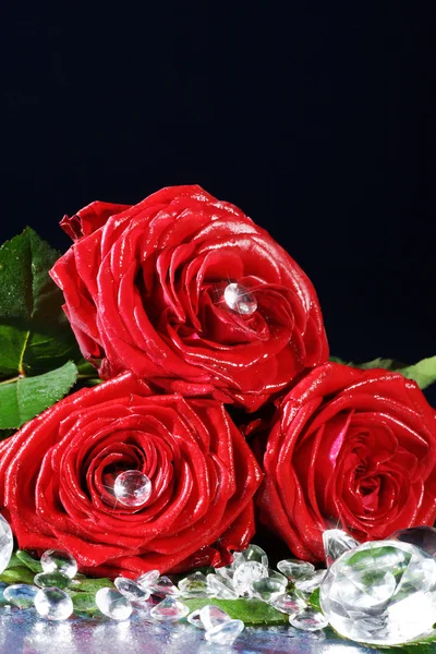 Rose met diamant — Stockfoto