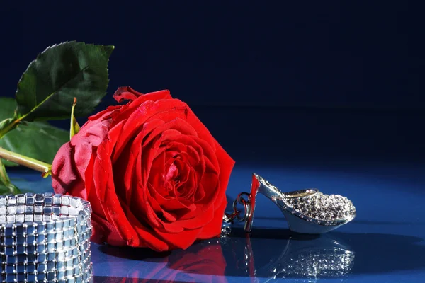 Rose with a shoe — Stock Photo, Image