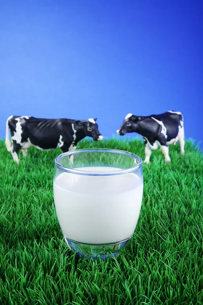 Krávy na louce s šálkem mléka — Stock fotografie