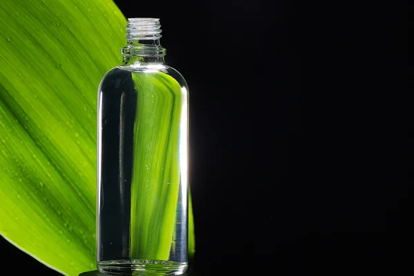 Petrol ve yeşil yaprak