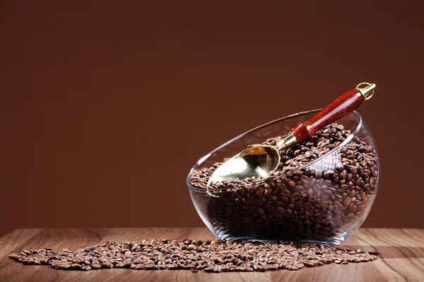 Coffee beans with a spoon — Stock Photo, Image