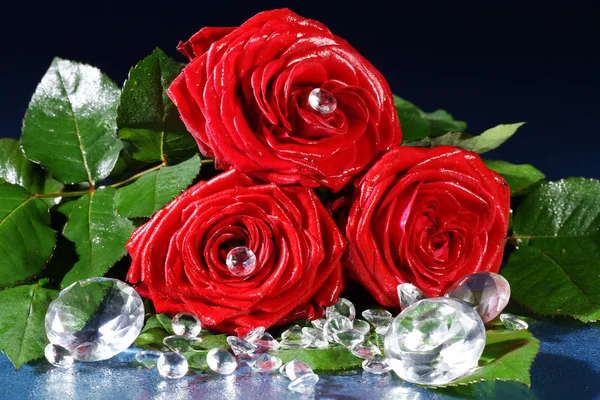 Rose mit Diamant — Stockfoto