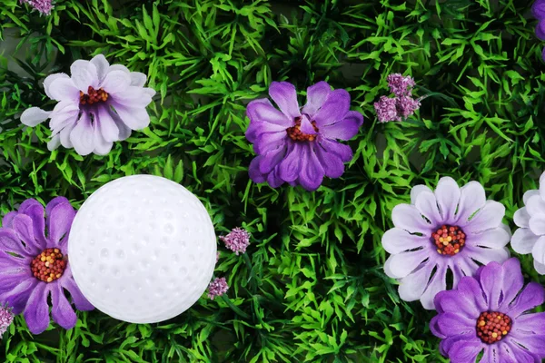 Çimlerin üzerinde golf topu — Stok fotoğraf