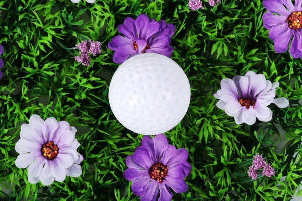 Çimlerin üzerinde golf topu — Stok fotoğraf