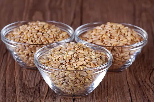 Grano de trigo en un plato de vidrio —  Fotos de Stock