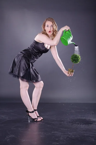 Girl watering a small tree in a pot — Stock Photo, Image