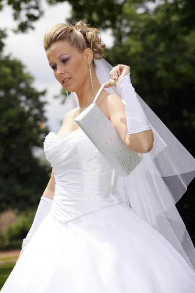 Wedding set in park — Stock Photo, Image