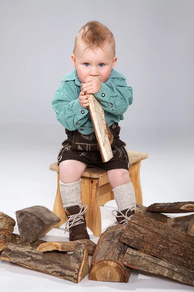 Bebekle yakacak odun — Stok fotoğraf