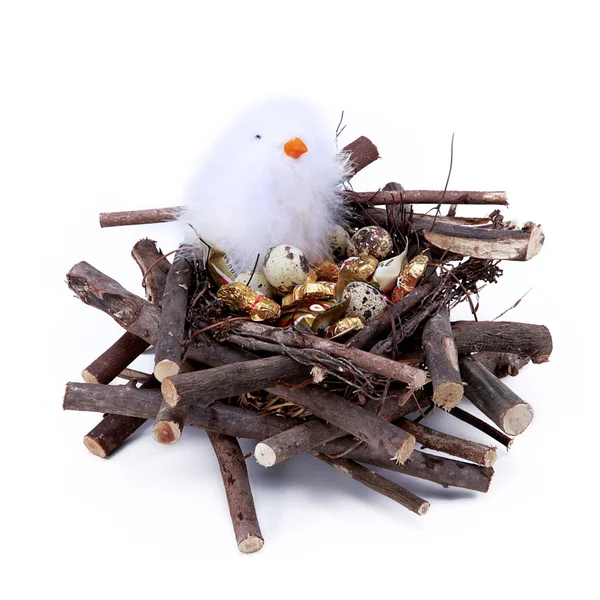 Bird nest eggs with chocolate — Stock Photo, Image