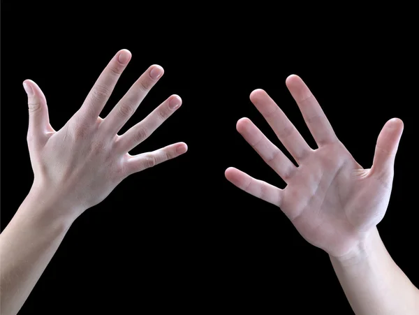 jestleri, eller, beş, palm