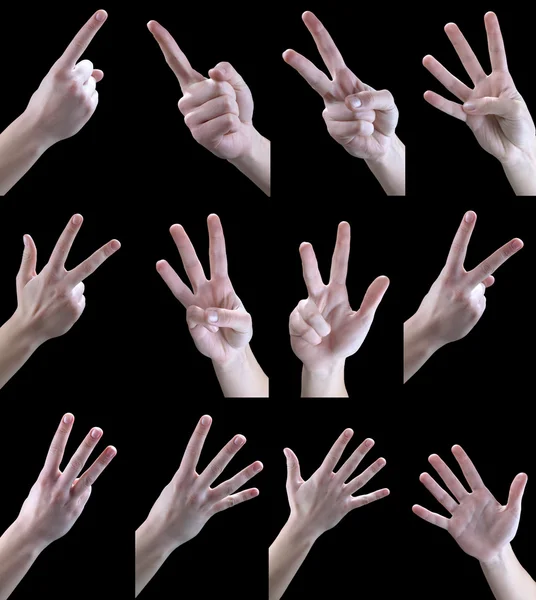 Set of gestures, one, two, three, four, five, — Stock Photo, Image
