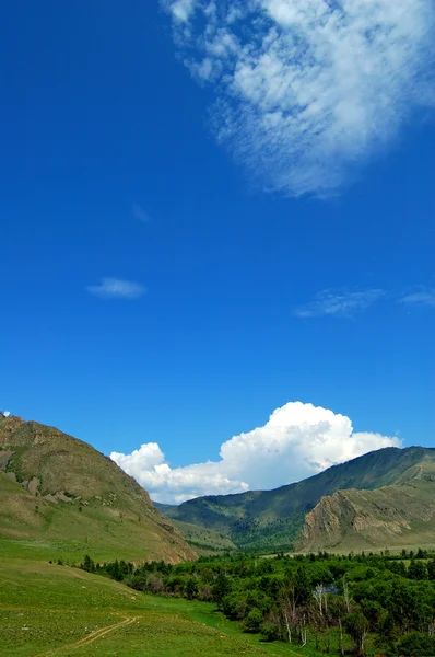 Baikalnatur — Stockfoto