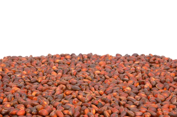 arka planını çam fıstığı