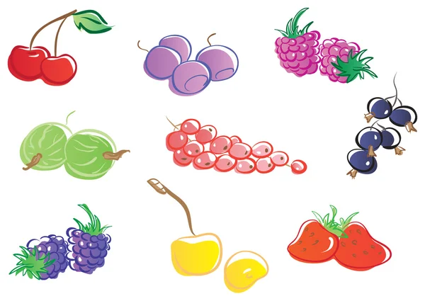 Berries — Stock Vector