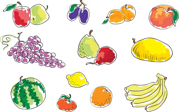 Fruits — Stock Vector