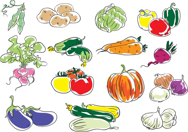 Vegetables — Stock Vector