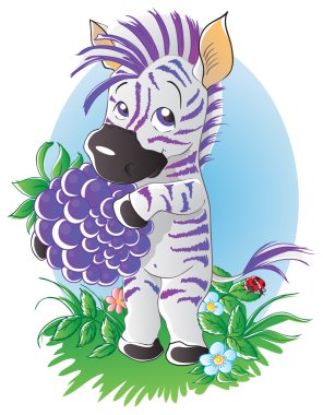 BlackBerry zebra