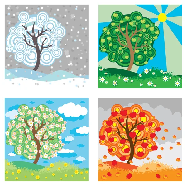 Apple tree seasons — Stock Vector