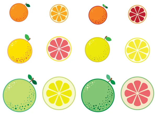 Citrus — Stock Vector