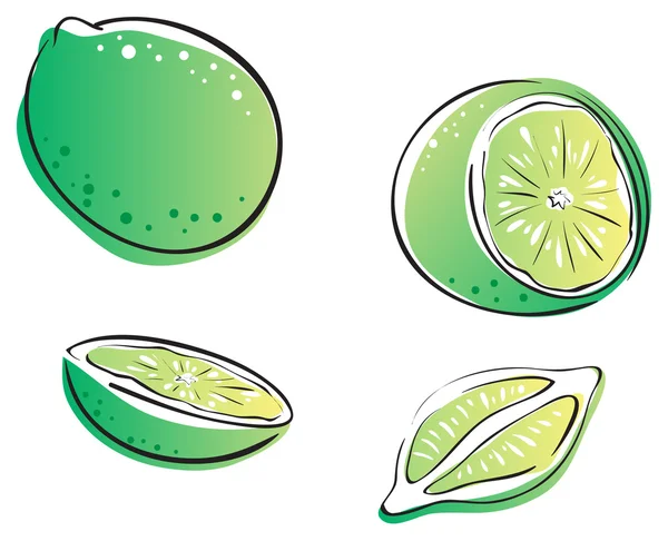 Lime, four versions — Stock Vector