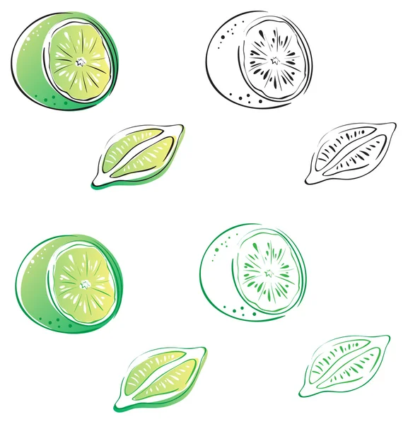 Lime, four versions — Stock Vector