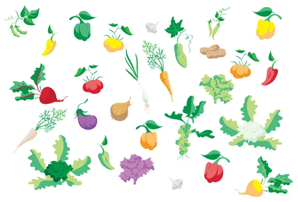 Ensemble de légumes — Image vectorielle