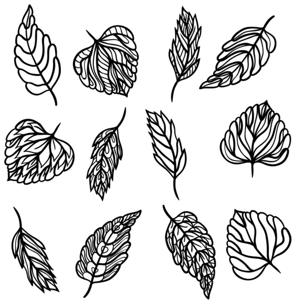 Набір листя — стоковий вектор