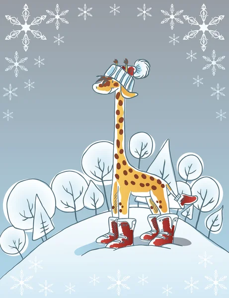 Winter giraffe — Stock Vector